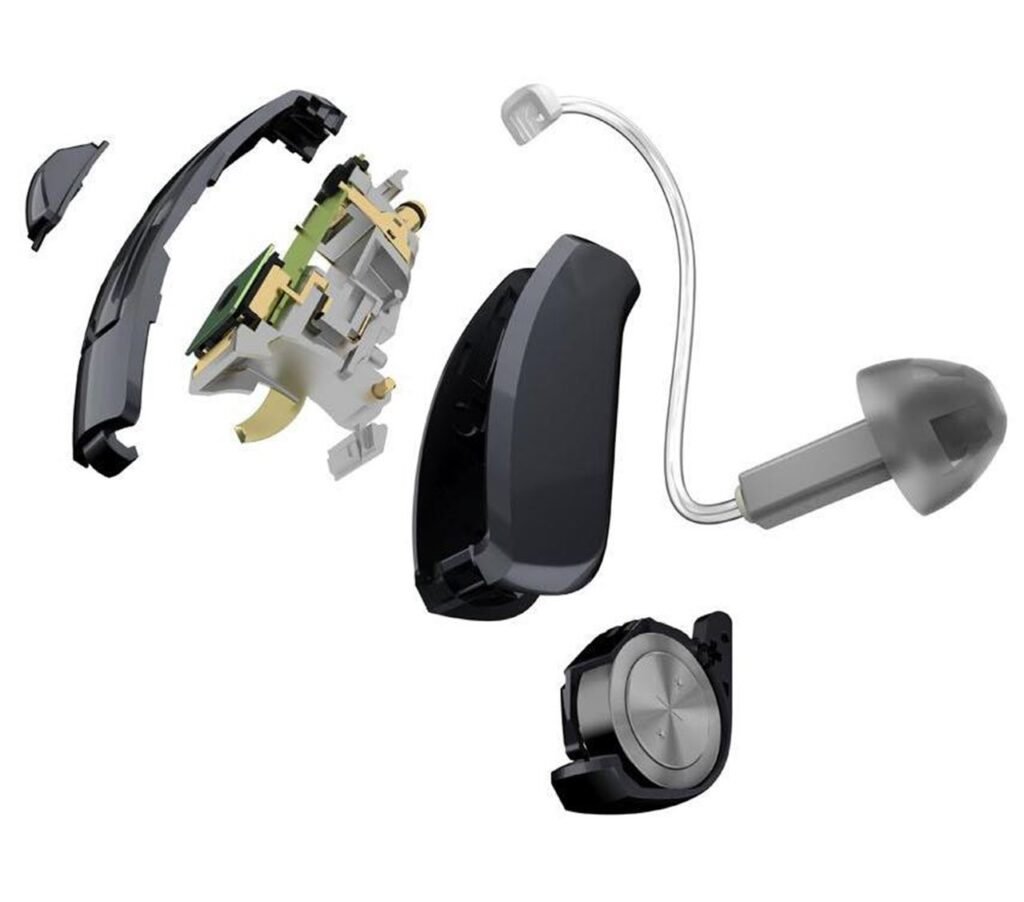 Digital Hearing Aids